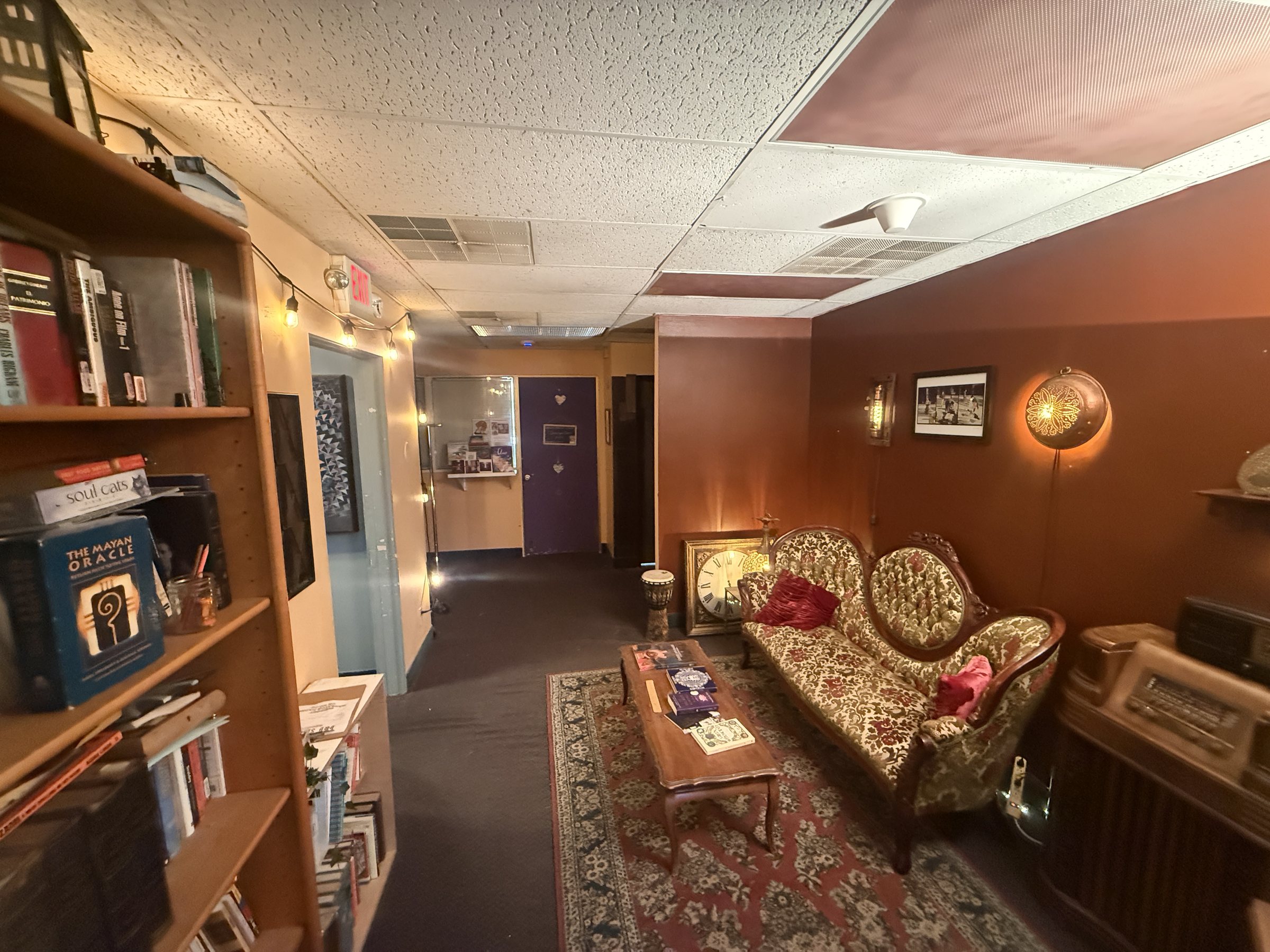 The library lounge: bookshelves, vintage sofa and rugs